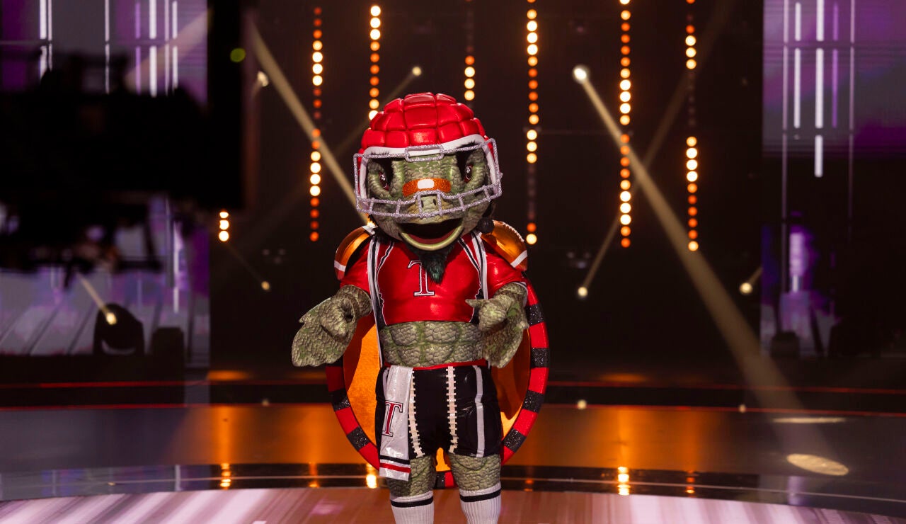 Tortuga rompe los mitos sobre su lentitud con una actuaci&oacute;n electrizante