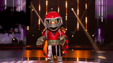 Tortuga rompe los mitos sobre su lentitud con una actuaci&oacute;n electrizante