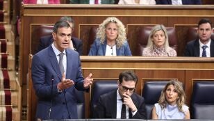 Pedro S&aacute;nchez