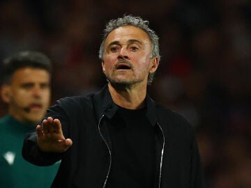 Luis Enrique en el Parque de los Pr&iacute;ncipes ante el Bayern