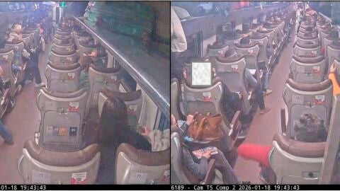 Capturas de las im&aacute;genes grabadas por las c&aacute;maras del interior del tren Iryo durante el accidente ferroviario ocurrido el domingo 18 de enero de 2026 en Adamuz, a 28 de abril de 2026, en Adamuz, C&oacute;rdoba, Andaluc&iacute;a (Espa&ntilde;a). La Comisi&oacute;n de Investigaci&oacute;n de Accidentes Ferroviarios (CIAF) ha enviado al juzgado un informe en el que sostiene que la &ldquo;causa&rdquo; del descarrilamiento del tren y su posterior colisi&oacute;n con el Alvia se debi&oacute; a &ldquo;la existencia de una rotura de carril&rdquo; en la l&iacute;nea de alta veloc...