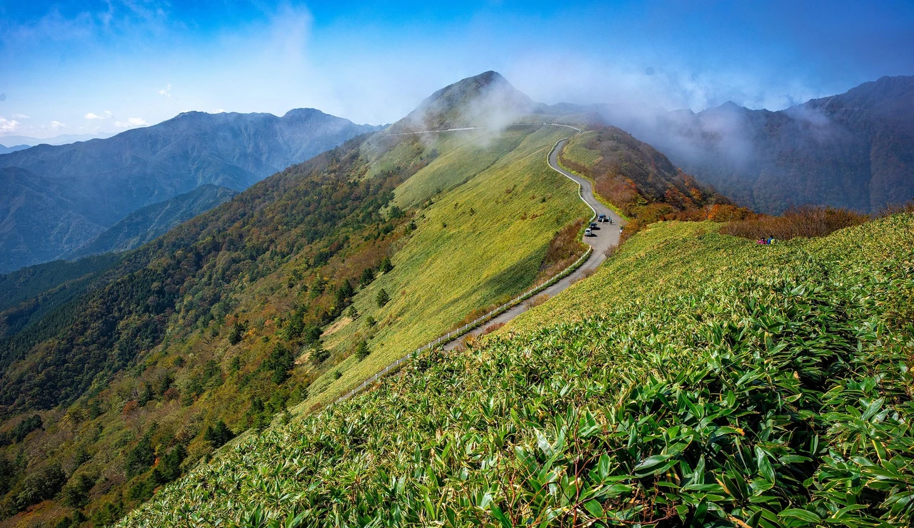 Carretera de montaña en Shikoku