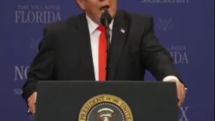 vf