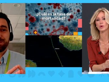 Hantavirus, &iquest;el nuevo coronavirus?