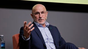 El seleccionador espa&ntilde;ol Luis de la Fuente