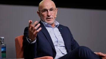 El seleccionador espa&ntilde;ol Luis de la Fuente