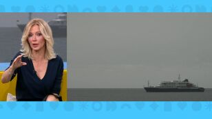 Informaciones crucero hantavirus