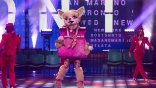 Chihuahua llena de luces y color el escenario de Mask Singer con &lsquo;Please don&rsquo;t go&rsquo;