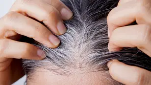 Canas