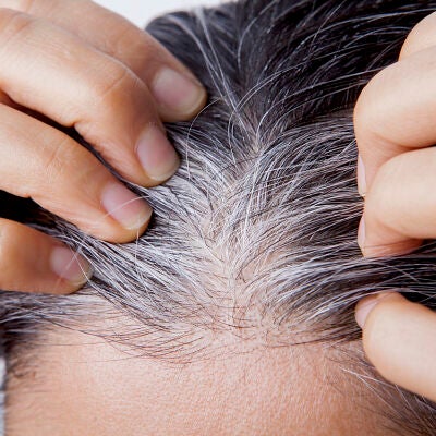 Canas