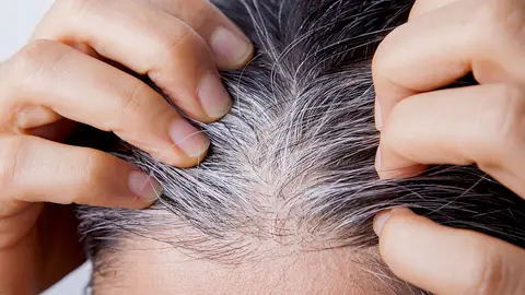 Canas Canas