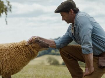 Hugh Jackman en Las ovejas detectives