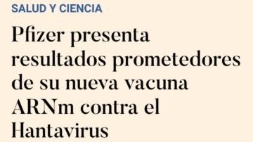 "Resultados prometedores" de la nueva vacuna contra el hantavirus
