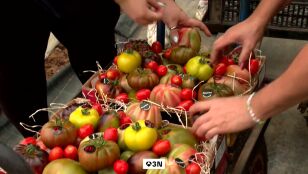 M&aacute;s caro producir, m&aacute;s caro comprar: la subida de precios del tomate llega a la mesa