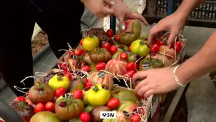 Más caro producir, más caro comprar: la subida de precios del tomate llega a la mesa
