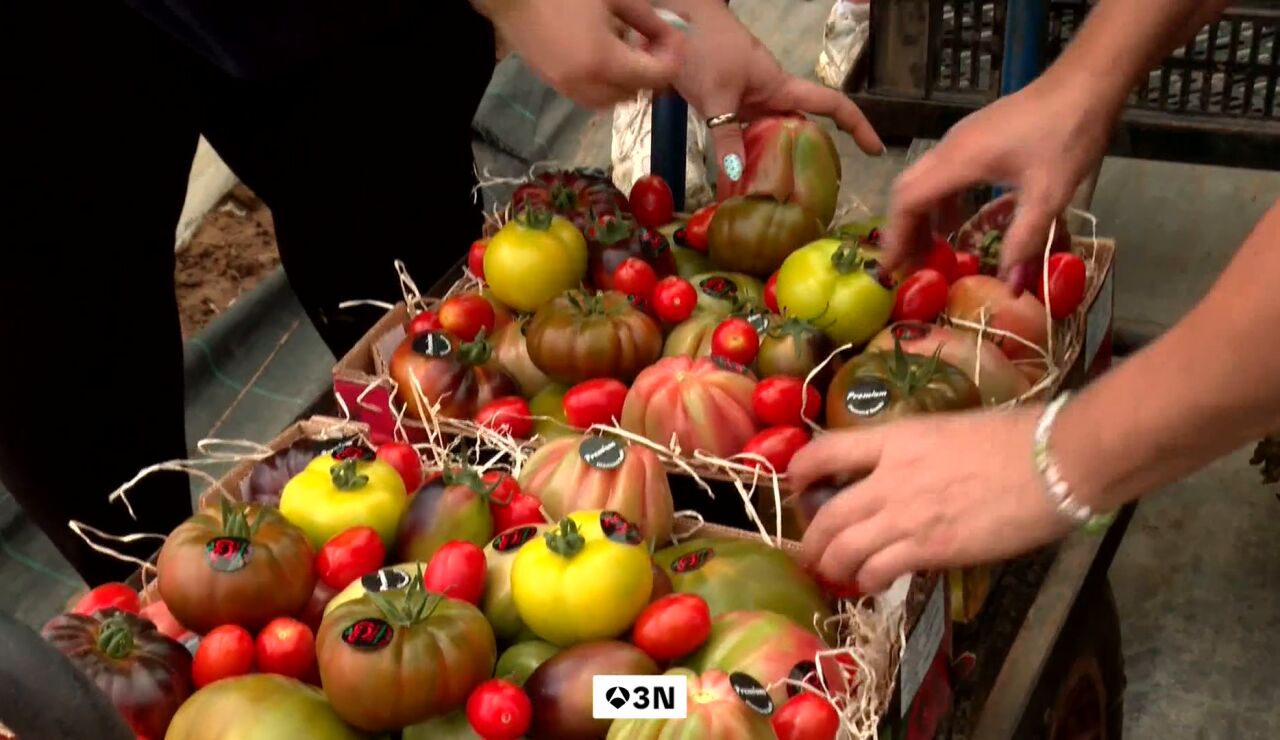 M&aacute;s caro producir, m&aacute;s caro comprar: la subida de precios del tomate llega a la mesa