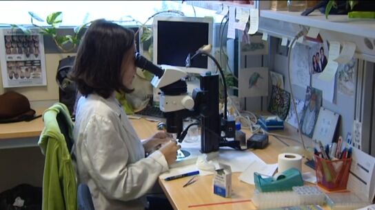Una mujer asi&aacute;tica en un laboratorio