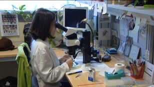 Una mujer asi&aacute;tica en un laboratorio