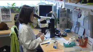 Una mujer asiática en un laboratorio