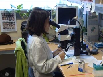 Una mujer asi&aacute;tica en un laboratorio