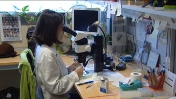 Una mujer asi&aacute;tica en un laboratorio