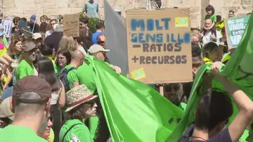 Huelga profesores Huelga profesores