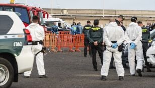 Pasajeros evacuados del crucero MV Hondius
