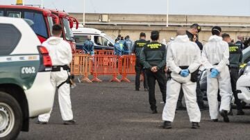 Pasajeros evacuados del crucero MV Hondius