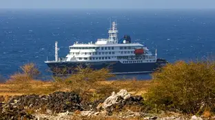 Crucero "MV Hondius" Crucero "MV Hondius"