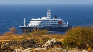 Crucero "MV Hondius"