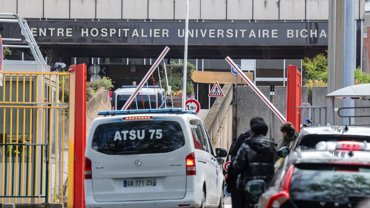 La paciente francesa en estado crítico por hantavirus dispara la alerta ...
