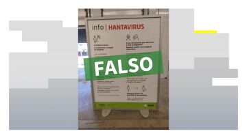 Bulo hantavirus