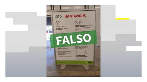Bulo hantavirus