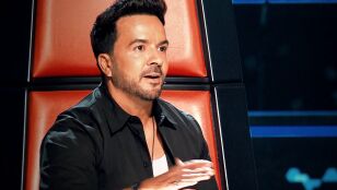 Luis Fonsi en La Voz Kids