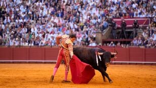 Roca Rey confirma su presencia en la corrida del pr&oacute;ximo 16 de mayo en Talavera