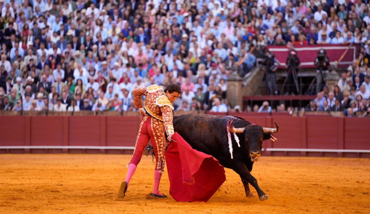 Roca Rey confirma su presencia en la corrida del pr&oacute;ximo 16 de mayo en Talavera
