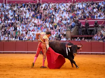Roca Rey confirma su presencia en la corrida del próximo 16 de mayo en Talavera Roca Rey confirma su presencia en la corrida del próximo 16 de mayo en Talavera
