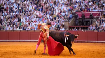 Roca Rey confirma su presencia en la corrida del próximo 16 de mayo en Talavera Roca Rey confirma su presencia en la corrida del próximo 16 de mayo en Talavera