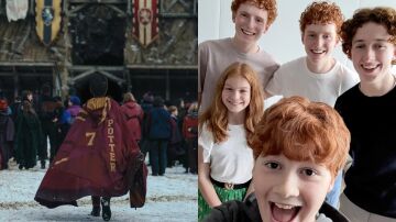 Familia Weasley en la serie de Harry Potter