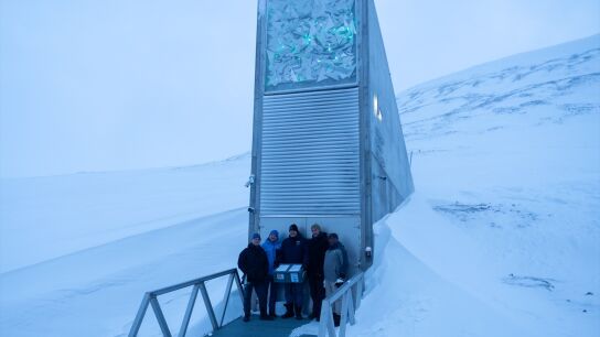 B&oacute;veda Global de Svalbard, el mayor banco mundial de semillas