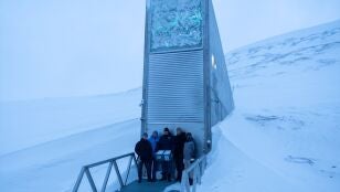 B&oacute;veda Global de Svalbard, el mayor banco mundial de semillas