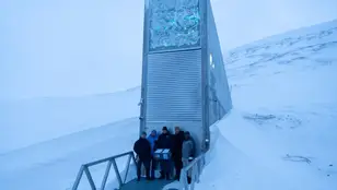 Bóveda Global de Svalbard, el mayor banco mundial de semillas