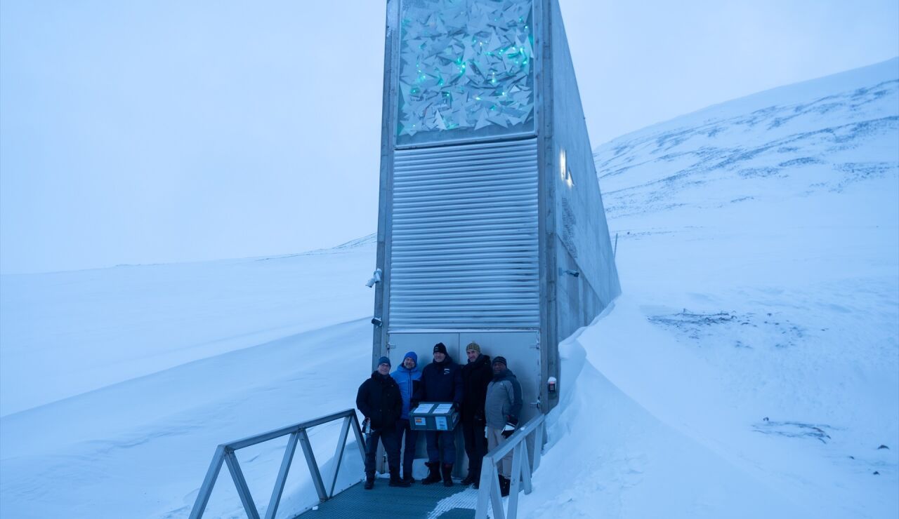 B&oacute;veda Global de Svalbard, el mayor banco mundial de semillas