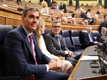 Pedro S&aacute;nchez en el Congreso de los Diputados