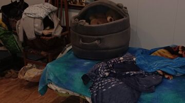 La Polic&iacute;a Local auxilia a una mujer de 92 a&ntilde;os en situaci&oacute;n de desatenci&oacute;n familiar