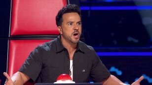 Luis Fonsi en La Voz Kids