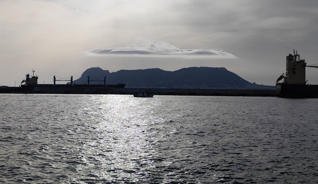 Algeciras