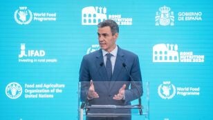 Pedro S&aacute;nchez en la FAO