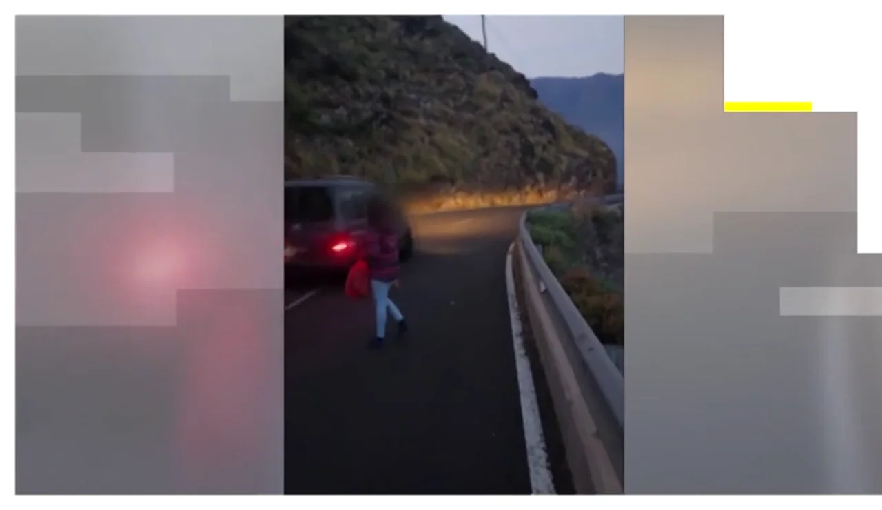 Vídeo: Una mujer siembra el pánico en una carretera de La Palma