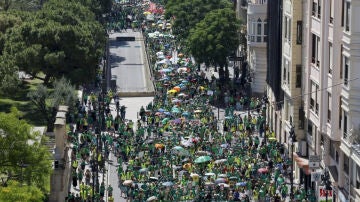 Manifestaci&oacute;n en Valencia